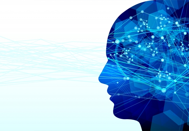 脳のイメージ 脳のイメージ